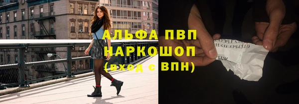 ешки Белокуриха