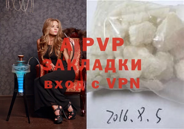ешки Белокуриха