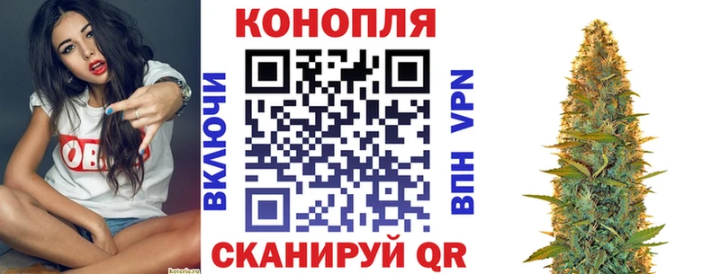Бошки марихуана индика  Гай 
